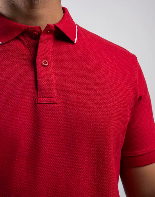 BIGG BOSS POLO T SHIRT