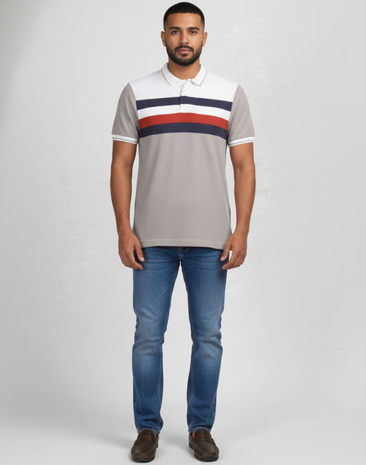 BIGG BOSS STRIPED POLO T - SHIRT