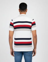 BIGG BOSS STRIPED POLO T - SHIRT