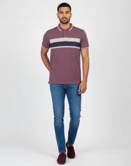 BIGG BOSS STRIPED POLO T - SHIRT
