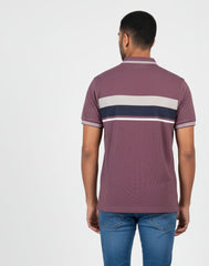 BIGG BOSS STRIPED POLO T - SHIRT