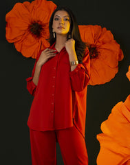 0304000271ORG (3)_Ladies Dress Fashion bug