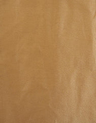 ETHNIC FUSION PLAIN SILK SAREE