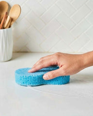 Absorbent Cleaning Sponge, for Multipurpose Cleaning