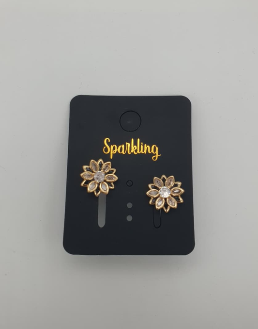 Women earing Jewelry