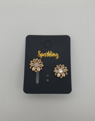 Women earing Jewelry