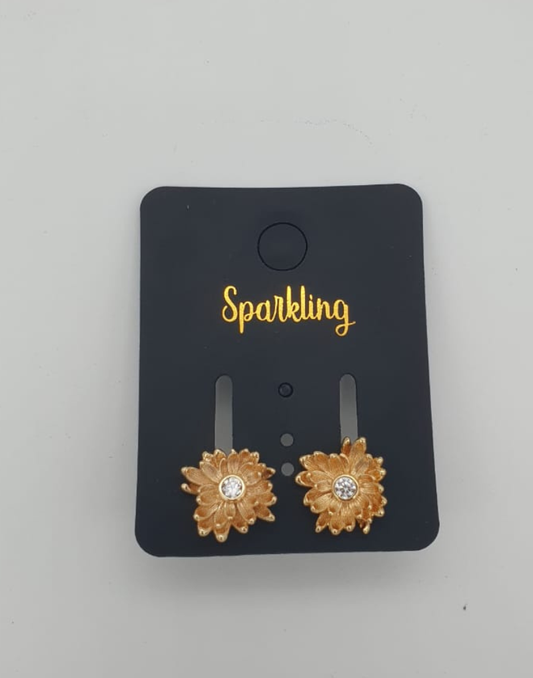 Women earing Jewelry