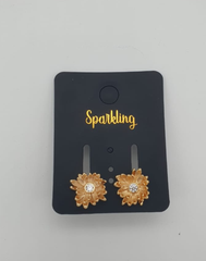 Women earing Jewelry