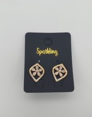 Women earing Jewelry