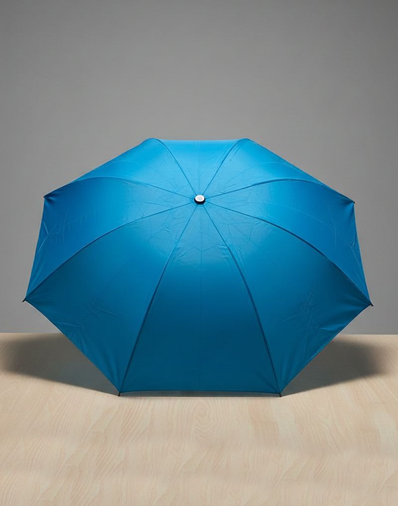 Plan 3 Folding Umbrella