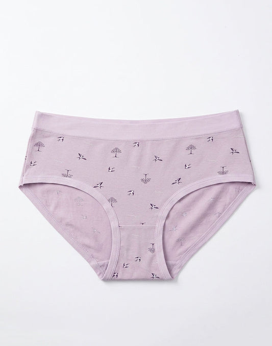 Ladies Panty Hipster