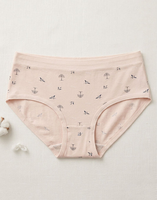Ladies Panty Hipster