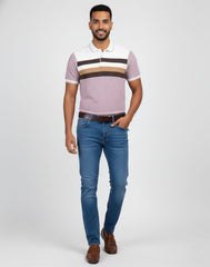 BIGG BOSS STRIPED POLO T - SHIRT