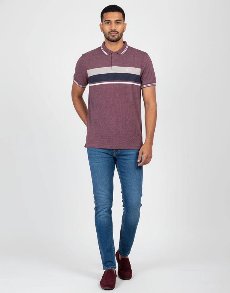 BIGG BOSS STRIPED POLO T - SHIRT