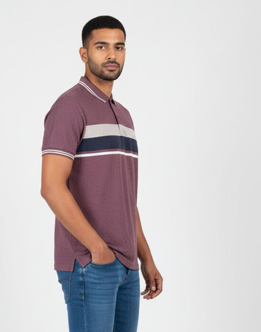BIGG BOSS STRIPED POLO T - SHIRT