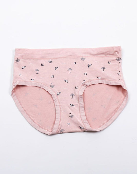 Ladies Panty Hipster