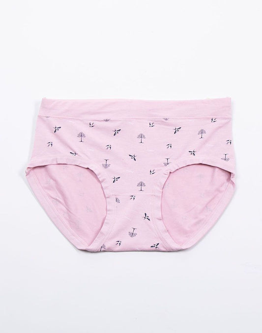 Ladies Panty Hipster