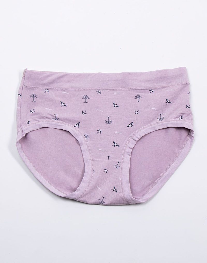 Ladies Panty Hipster