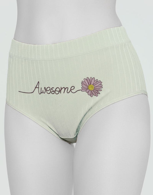 Ladies Panty Hipster