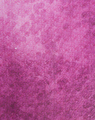 0305600709C10-FRE (5)_Ladies_Saree_Fashion Bug Sri Lanka