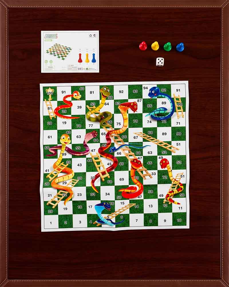 Snakes and Ladders Board Game