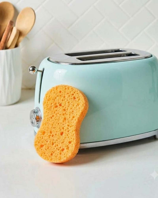 Absorbent Cleaning Sponge, for Multipurpose Cleaning