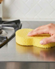 Absorbent Cleaning Sponge, for Multipurpose Cleaning