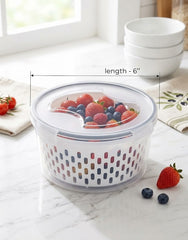 Fridge Storage Container