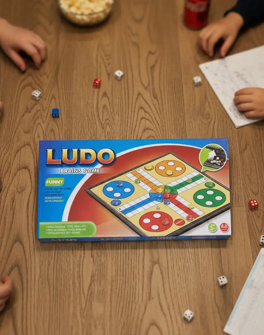 Magnetic game LUDO