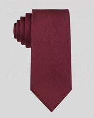 JOBBS Mens Tie