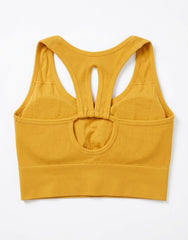 Women's padded cotton sports bra