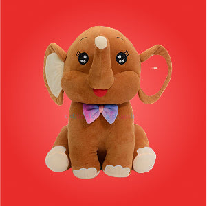Fashion Bug Online Store